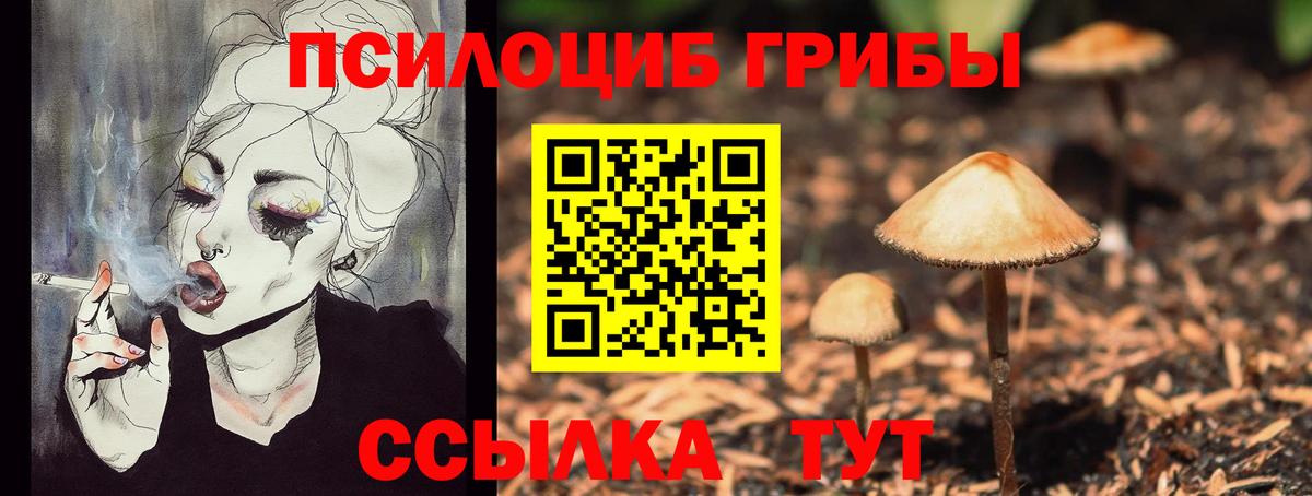 сколько стоит  Псилоцибиновые грибы Magic Shrooms  Вход с VPN  Псилоцибиновые грибы прущие грибы  Братск 